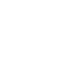 MSI Viking